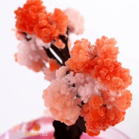 Растущие кристаллы "Дерево любви" сделай сам Magic growing love tree